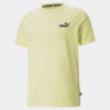 Ανδρικά T-shirts  Puma Essentials Embroidery Logo Ανδρικό T-Shirt (9000072773_51390)