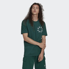 Ανδρικά T-shirts  adidas Originals Adicolor Spiner Ανδρικό T-shirt (9000098016_31324)