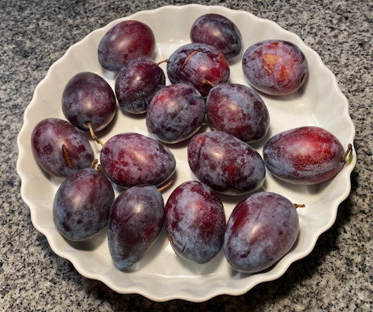 Italian-plums-001